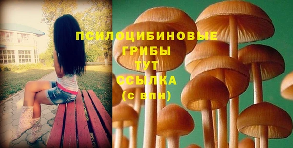 ПСИЛОЦИБИНОВЫЕ ГРИБЫ Алексин